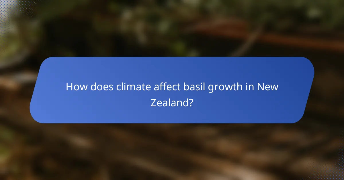 How does climate affect basil growth in New Zealand?
